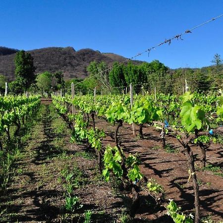Finca Cielo Verde Chicoana Εξωτερικό φωτογραφία