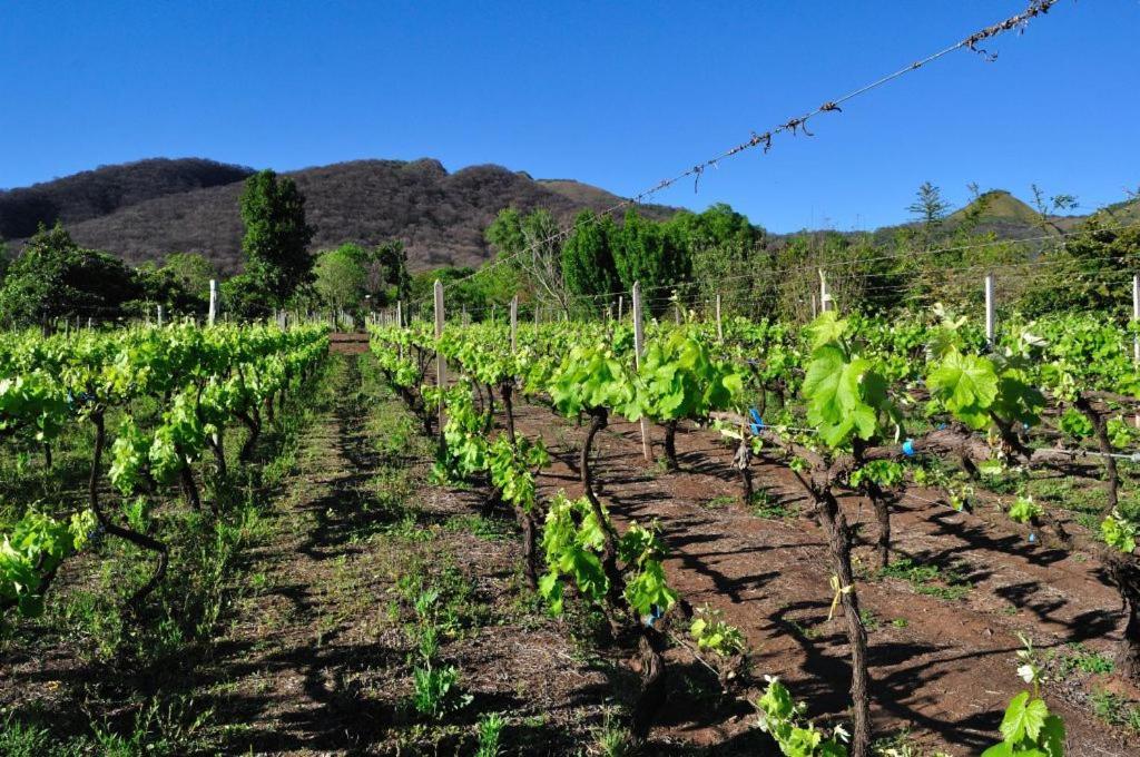 Finca Cielo Verde Chicoana Εξωτερικό φωτογραφία
