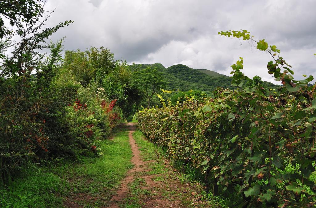 Finca Cielo Verde Chicoana Εξωτερικό φωτογραφία