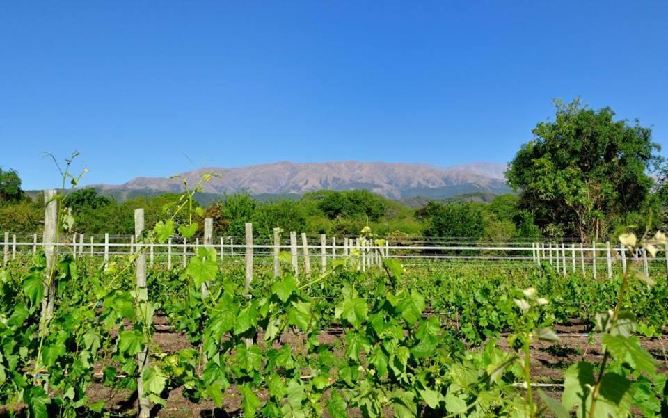 Finca Cielo Verde Chicoana Εξωτερικό φωτογραφία